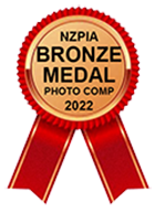 BRONZE MEDAL 140