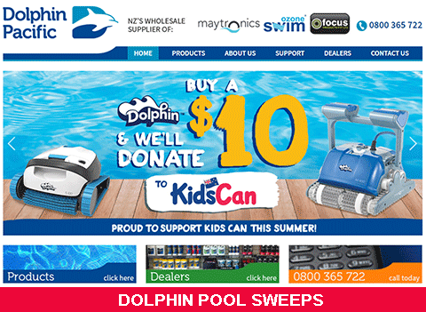 DOLPHIN POOL SWEEPS